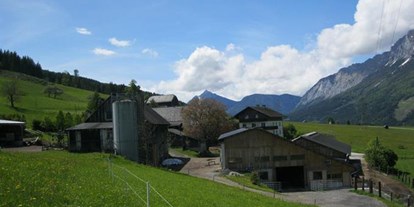 Pensionen - Umgebungsschwerpunkt: Stadt - Schladming-Dachstein - Pension Goschnhof