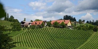 Pensionen - Art der Pension: Urlaub am Bauernhof - Eibiswald - Weingut Fellner