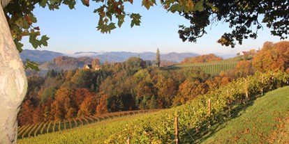 Pensionen - Garten - Süd & West Steiermark - Weingut Fellner