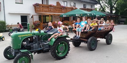 Pensionen - Art der Pension: Urlaub am Bauernhof - Hinterstoder - Hotel Pension Camping Pürcherhof