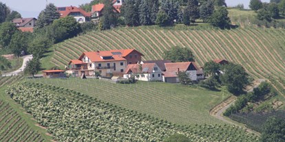 Pensionen - Garten - Bad Blumau - Weinbauernhof Amtmann