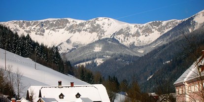 Pensionen - Umgebungsschwerpunkt: Berg - Strallegg - Blick auf die Brunnalm - Hohe Veitsch vom Apartment "Panorama" und "Familienzimmer" - Frühstückspension Hermine Fraiß