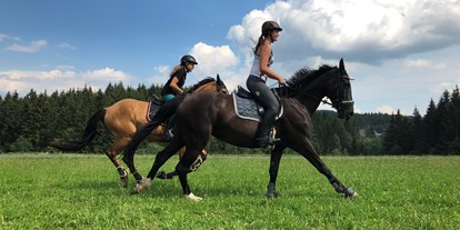 Pensionen - Terrasse - Oststeiermark - Unser Steckenpferd sind die Pferde - Das Leitner Home&Horse (Narnhoferwirt)