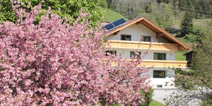 Pensionen - Umgebungsschwerpunkt: Berg - Schladming - Eiblhof