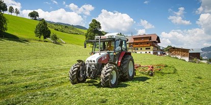 Pensionen - Art der Pension: Urlaub am Bauernhof - Filzmoos (Filzmoos) - Hoferhof