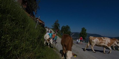 Pensionen - Art der Pension: Urlaub am Bauernhof - Mariapfarr - Bauernhof Rücklhof