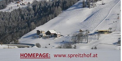 Pensionen - Skilift - Ramsau (Bad Goisern am Hallstättersee) - Pension Spreitzhof