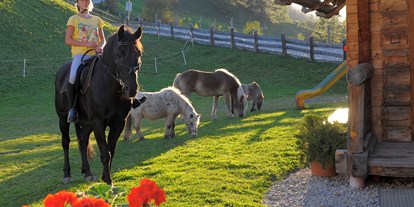 Pensionen - Art der Pension: Urlaub am Bauernhof - Filzmoos (Filzmoos) - Pony und Haflingerreiten im Sommer - Hotel-Pension Bruckreiterhof