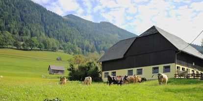 Pensionen - Umgebungsschwerpunkt: Berg - Aigen im Ennstal - Biolandwirtschaft - Familie Mössner *Landgasthof Pension*