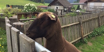 Pensionen - Art der Pension: Urlaub am Bauernhof - Krieglach - wir züchten Jura Schafe - Jakobbauer