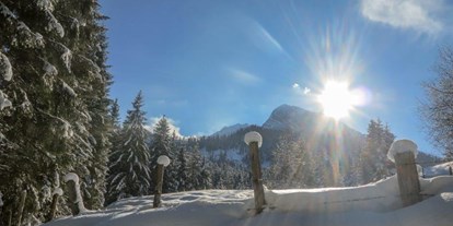 Pensionen - Kühlschrank - Alpenregion Nationalpark Gesäuse - Burnout Wildalps