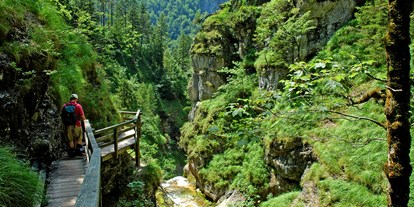 Pensionen - Wanderweg - Alpenregion Nationalpark Gesäuse - Burnout Wildalps