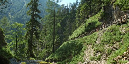 Pensionen - Art der Pension: Urlaubspension - Alpenregion Nationalpark Gesäuse - Burnout Wildalps