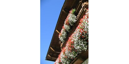 Pensionen - Balkon - Gossensaß - Blumenpracht auf dem Südbalkon - Haus Sarah