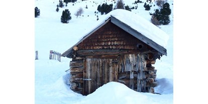 Pensionen - Langlaufloipe - Neustift (Trentino-Südtirol) - oberhalb der Brandstattalm 2009 - Haus Sarah