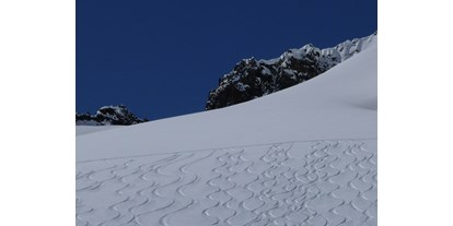 Pensionen - Umgebungsschwerpunkt: Berg - Neustift im Stubaital - Tiefschneefahren - Stubaier Gletscher 2010 - Haus Sarah