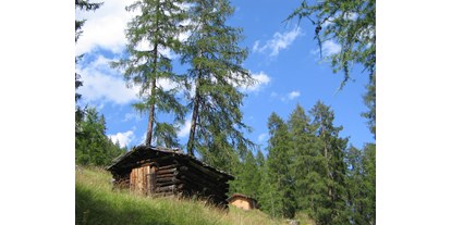 Pensionen - WLAN - Axams - von Forchach zur Starkenburgerhütte 2007 - Haus Sarah