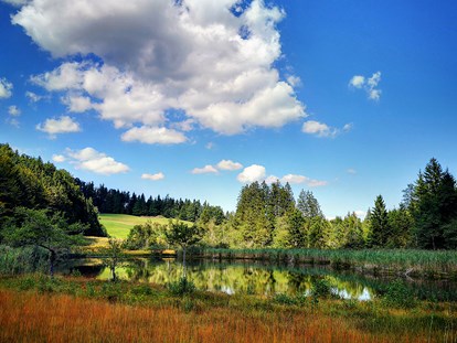 Pensionen - WLAN - Strobl - Naturschutzgebiet "Egelsee" 5.min vom Margarethengut - Ferienhof Margarethengut