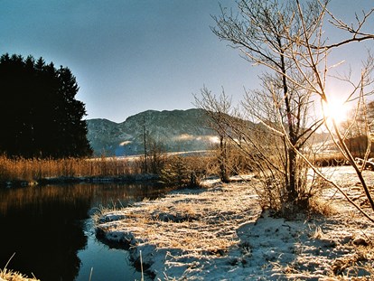 Pensionen - Gosau - Naturschutzgebiet "Egelsee" im Winter 5.min vom Margarethengut - Ferienhof Margarethengut