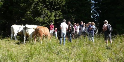 Pensionen - WLAN - Stall - Unsere Kühe auf der Alm. - Waldpension Ranner