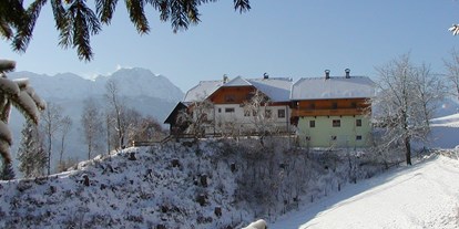 Pensionen - Umgebungsschwerpunkt: See - Kärnten - Blick auf unsere Waldpension im Winter. - Waldpension Ranner
