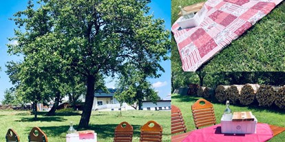 Pensionen - WLAN - Weitersfelden - Gastgarten in der Wiese ( Picknick) - Wirt z´Bairing