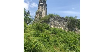 Pensionen - Umgebungsschwerpunkt: Stadt - Bad Ischl - Wanderung zur Ruine Wildenstein. Man wandert direkt von der Unterkunft weg - Wagnermoosgut