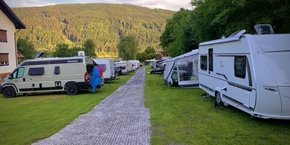 Pensionen - Rosegg - Camping Platz - See-Areal Steindorf