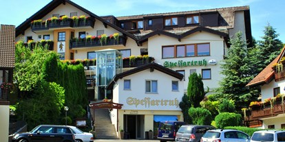 Pensionen - Restaurant - Frammersbach - Hausansicht - Landhotel Spessartruh