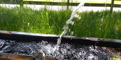Pensionen - Garten - Gerlos - Erfrischendes Quellwasser direkt vom Hausbrunnen - NATURPENSION Mühlhof