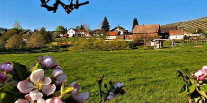 Pensionen - Biberach - Frühling - Blick aus der Apfelanlage - Gästehaus Wörner