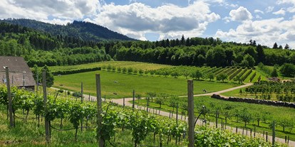 Pensionen - Balkon - Schwarzwald - Sommer - Blick auf unsere Obstgärten - Gästehaus Wörner