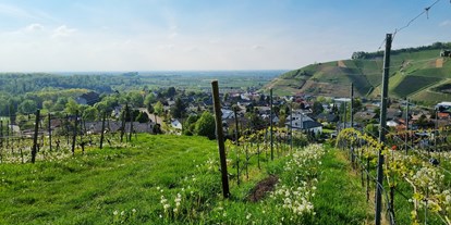 Pensionen - Wanderweg - Baiersbronn - Unser Hausberg - das Vollmersbacher Köpfle mit Blick bis in die Rheinebene - Gästehaus Wörner