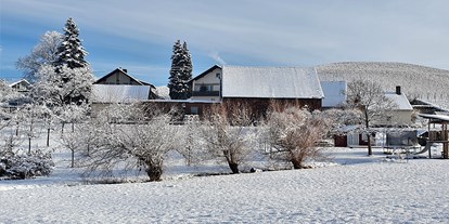Pensionen - Lautenbach - Winter - Gästehaus Wörner