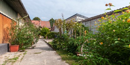 Pensionen - Terrasse - Apetlon - Ferienhaus Amelie
