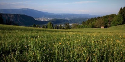 Pensionen - Umgebungsschwerpunkt: am Land - Arriach - Naturgut Gailtal