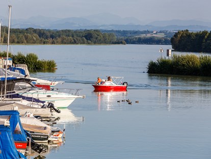 Pensionen - Parkplatz: kostenlos bei der Pension - Enns - die Donau mit Blick über den schönen kleinen Hafen von Au an der Donau - Pension Au an der Donau