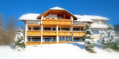 Pensionen - Umgebungsschwerpunkt: am Land - Spital am Pyhrn - Haus Löger im Winter mit einzigartiger Aussicht auf die Berge - Haus Löger Apartments