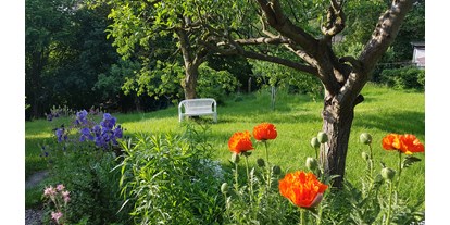 Pensionen - Umgebungsschwerpunkt: See - Schmalkalden - Unser naturnaher Garten im Frühsommer. - Pension Rau