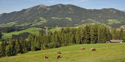 Pensionen - Umgebungsschwerpunkt: Berg - Edlbach - Almresort Baumschlagerberg