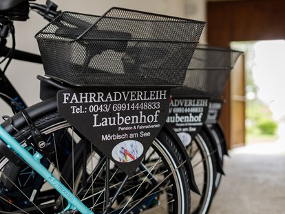 Pensionen - Garten - Österreich - E-Bike Verleih vor Ort - Pension Laubenhof