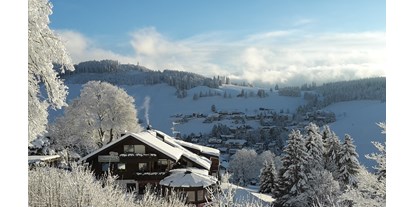Pensionen - Balkon - Deutschland - Winter mit Blick nach Osten - Panorama Lodge Sonnenalm Hochschwarzwald