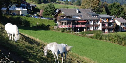 Pensionen - WLAN - Todtnau - Panorama Lodge Sonnenalm Hochschwarzwald