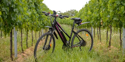 Pensionen - Umgebungsschwerpunkt: Stadt - Neusiedl am See - Radweg - Pension Kral bike & wine