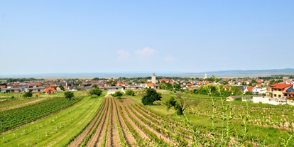 Pensionen - Umgebungsschwerpunkt: am Land - Podersdorf am See - Pension & Weingut Gangl - Ortsansicht - Pension & Weingut Gangl