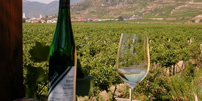 Pensionen - Hürm - Blick von der Terrasse Richtung Dürnstein - Weingut Granner