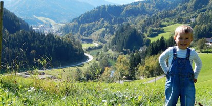 Pensionen - WLAN - Waidhofen an der Ybbs - Von uns aus haben Sie einen traumhaften Blick auf die Göstlinger Bergwelt und das Schi- und Wandergebiet Hochkar. - Biobauernhof Poidlbauer