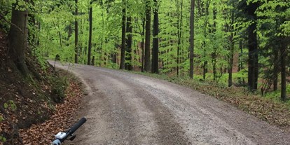 Pensionen - Garage für Zweiräder - Laaben - In unserem heimischen Wald - Der Wienerwald! - Hof Rotherd 
