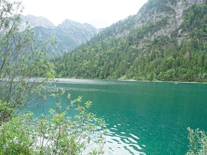 Pensionen - Pool - Steinhöring - Die Alpen sind in nur 50 Autominuten erreichbar - Pension am Weberhof