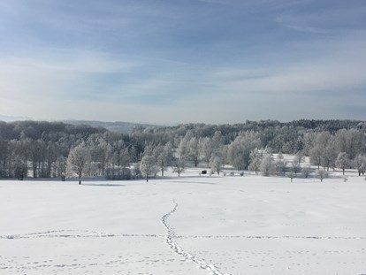 Pensionen - Spielplatz - Bayern - Traumlandschaft im Winter
Aufgenommen in Zaißing 2020 - Pension am Weberhof